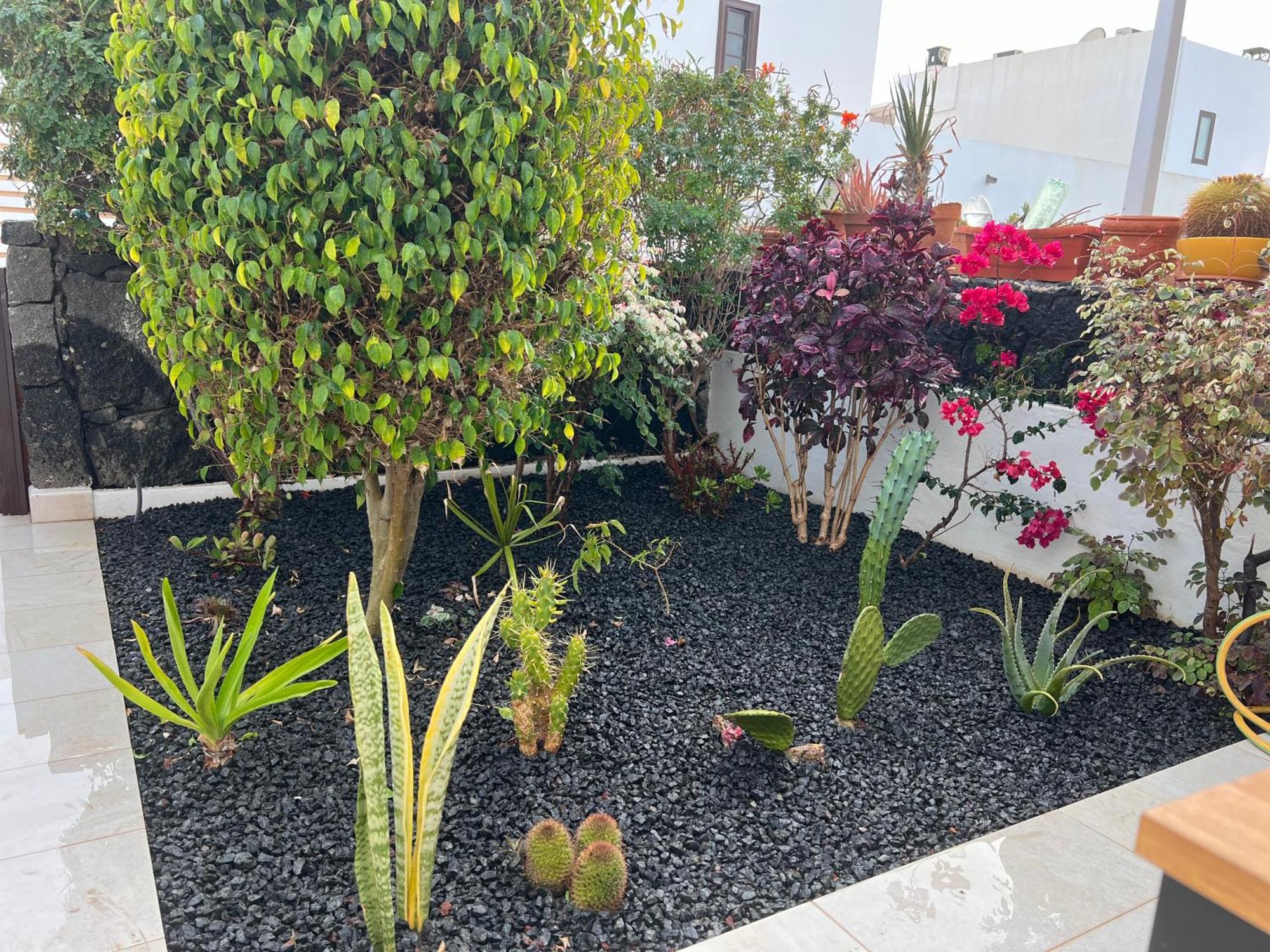 Finca Thiago بْوُرتو كاليرو المظهر الخارجي الصورة